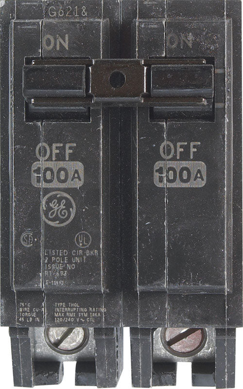 ABB Q-Line 100 amps Standard 2-Pole Circuit Breaker THQL21100PA