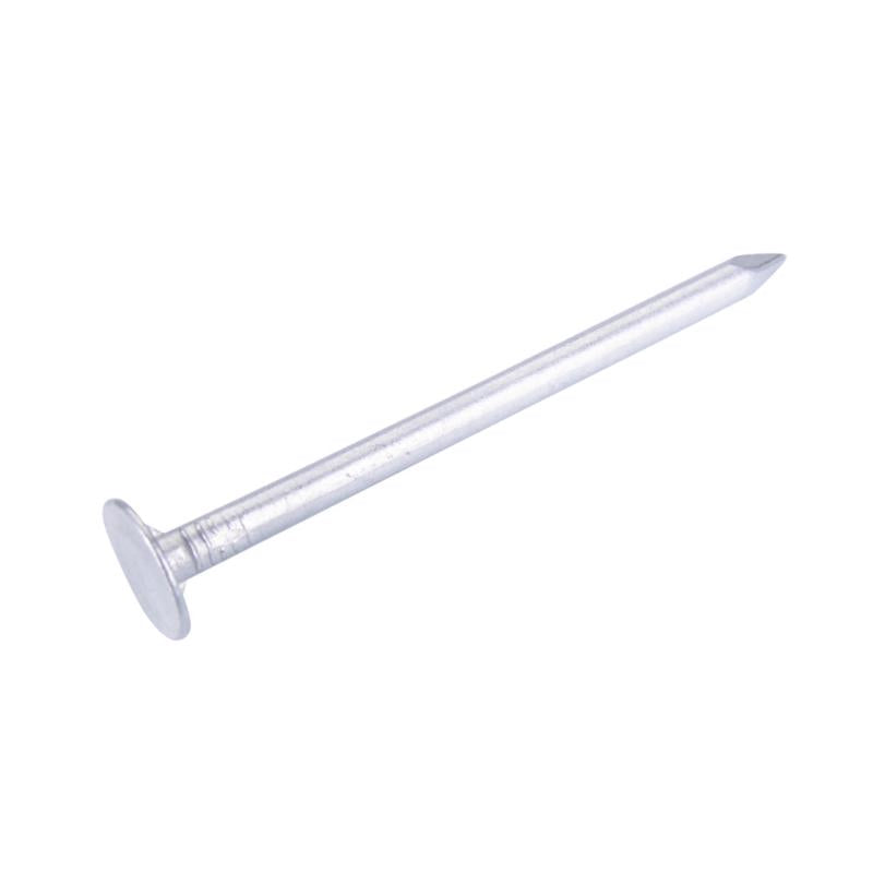 Grip-Rite 2 in. Siding Vinyl Aluminum Nail Round Head 1 lb 2ASDG1