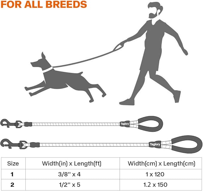 Taglory Rope Dog Leash 4 FT with Comfortable Padded Handle, Highly Reflective Threads Leash and Anti-Tangle Clip for Walking Small Dogs, 3/8 inch, Green