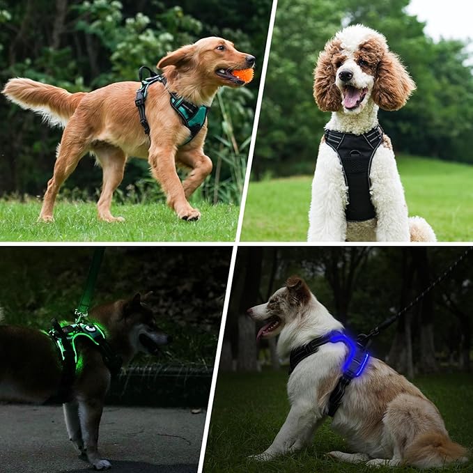 Taglory Light Up Dog Harness, Rechargeable No Pull Dog Vest with 3 Lightning Modes, Reflective Dog Harness with 2 Leash Clips & 4 Adjustable Slide Strips for Medium Dogs, Orange-Orange, M