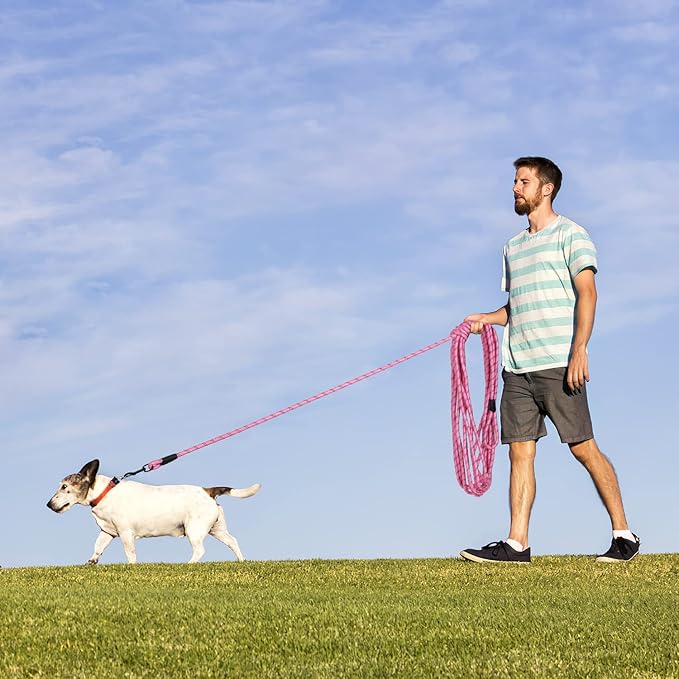 Long Dog Leash for Training 15Ft-Reflective Nylon Rope with Swivel Hook-Recall Agility Lead for Large Small Medium Dogs Outside Walking Hiking-Pink