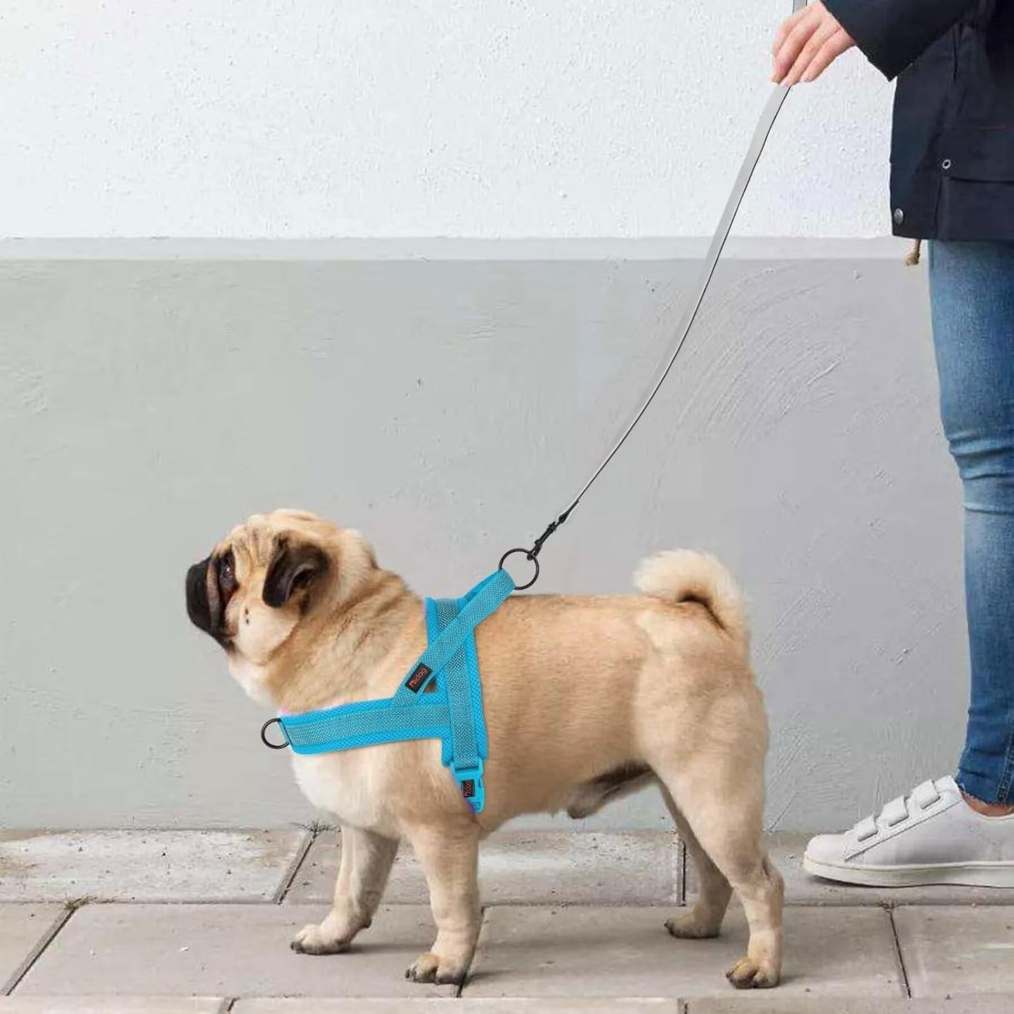 Didog No Pull Dog Harness with Breathable Mesh Padded, Full Reflective & Quick Fit Adjustable Vest Harness, Easy for Training Walking for Small & Medium and Large Dogs (Blue, M:Chest 21-26")