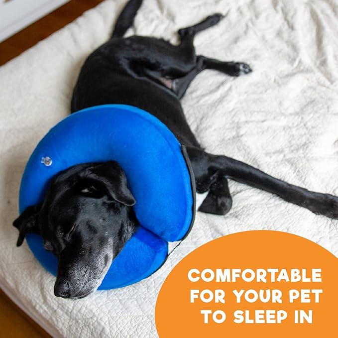 BENCMATE Inflatable Dog Cone Collar Alternative, Soft Dog Cone for Small Medium Large Dogs and Cats, Neck Recovery ECollar Donut Collar After Surgery (Medium+, Dark Grey)