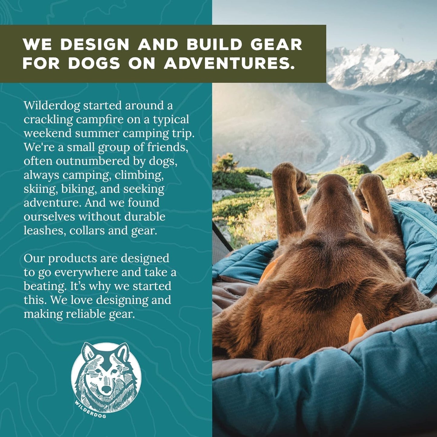 Wilderdog Lightweight Dog Harness with Reflective Straps - Medium - Seafoam