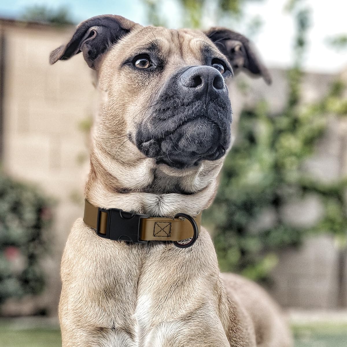 Dogline Biothane Waterproof Dog Collar with Quick Release Buckle Strong Coated Nylon Webbing with Odor- Proof for Easy Care Easy to Clean Fits Small Medium Large Dogs, Coyote Brown 1" W 15-25" L
