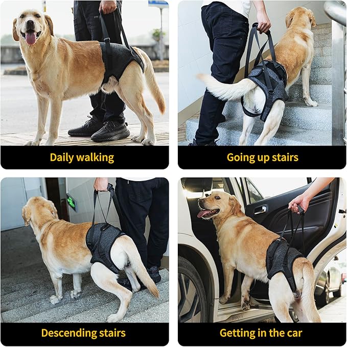 HEYWEAN Dog Sling for Large Dogs Hind Leg Support Harness Ideal for Elderly Injured Arthritic Dogs Provides Rehabilitation Aid for Weak Back Legs Comfortable and Durable Design