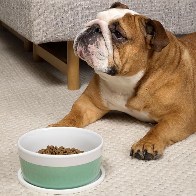 Waggo Habit Silicone Dog Placemat – Set of 2 Modern Heavyweight Silicone Dog Food Mats, Dishwasher Safe, Non-Slip, Solid Color – Black (Medium, 7")