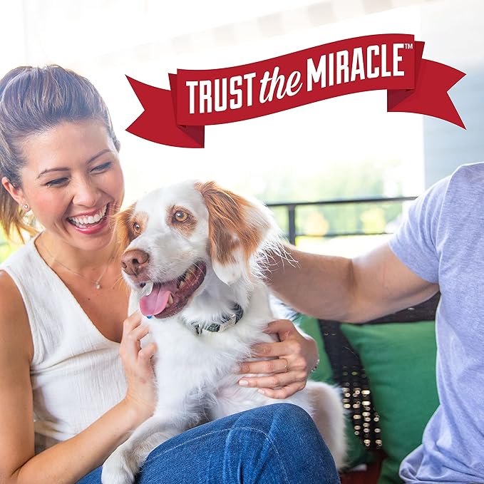 Nature's Miracle Urine Destroyer Plus for Dogs, Enzymatic Formula for Severe Dog Urine Stains, 32 fl oz