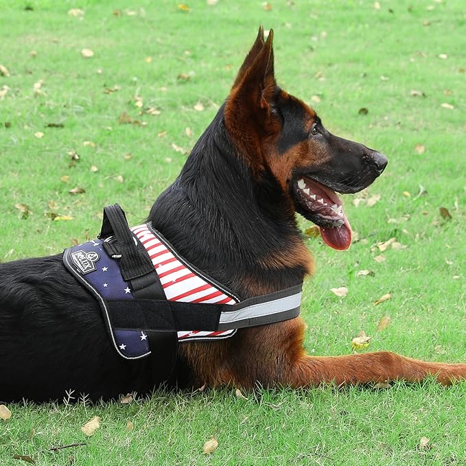 Bolux Dog Harness, No-Pull Reflective Dog Vest, Breathable Adjustable Pet Harness with Handle for Outdoor Walking - No More Pulling, Tugging or Choking (Flag, Medium)