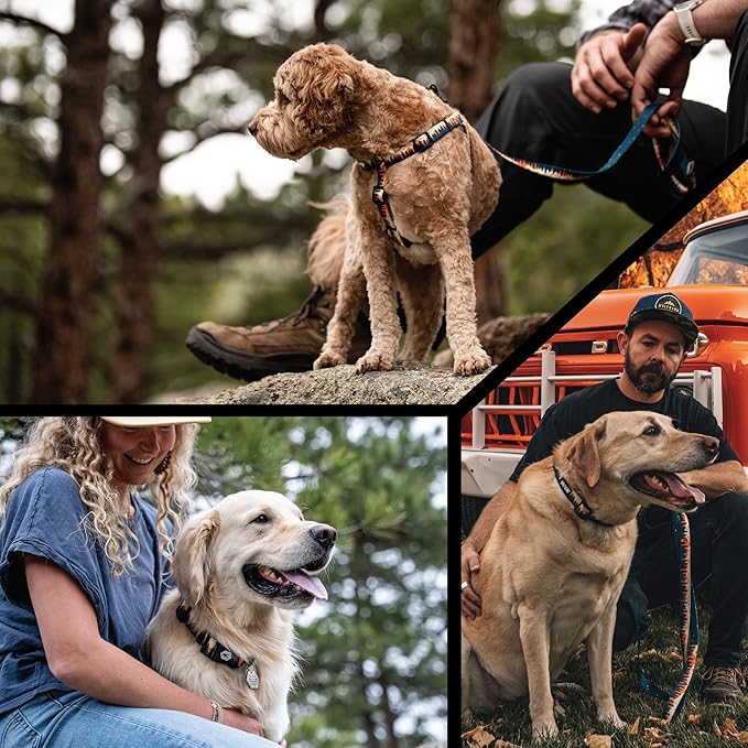 Wolfgang Heavy Duty Adjustable Dog Harness, Pull-Tested to Over 800 lbs for Walking & Training, Overland Print, Small