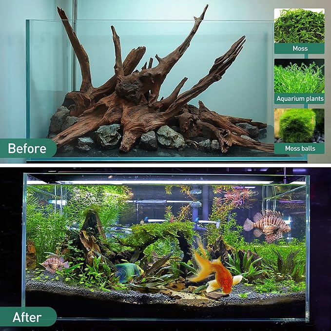 WDEFUN Natural Driftwood Aquarium Decor, 7-11 Inch Large Pieces for Fish Tank, Reptile Accessories, 3-Pack