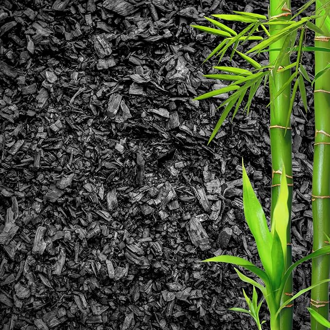 Horticultural Charcoal for Plants ā Organic Bio Char Soil Amendment for Terrariums, Indoor Plants & Gardening, Made in USA (1 Quart)