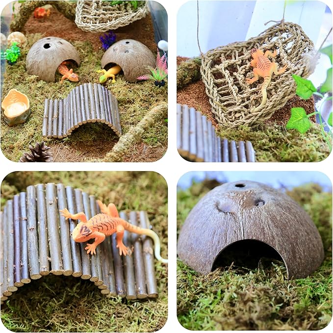Hermit Crab Accessories ā 6PCS Natural Hermit Crab Toys Climbing Bridge, Shells, Coconut Hideout, Moss and Plants for Hermit Crabs Habitat & Reptile Tank Decor