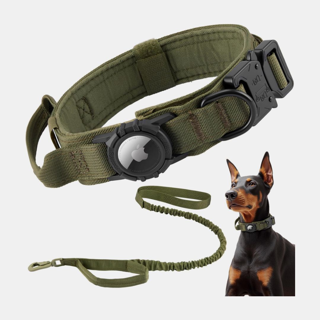 Hunting Dog Equipment