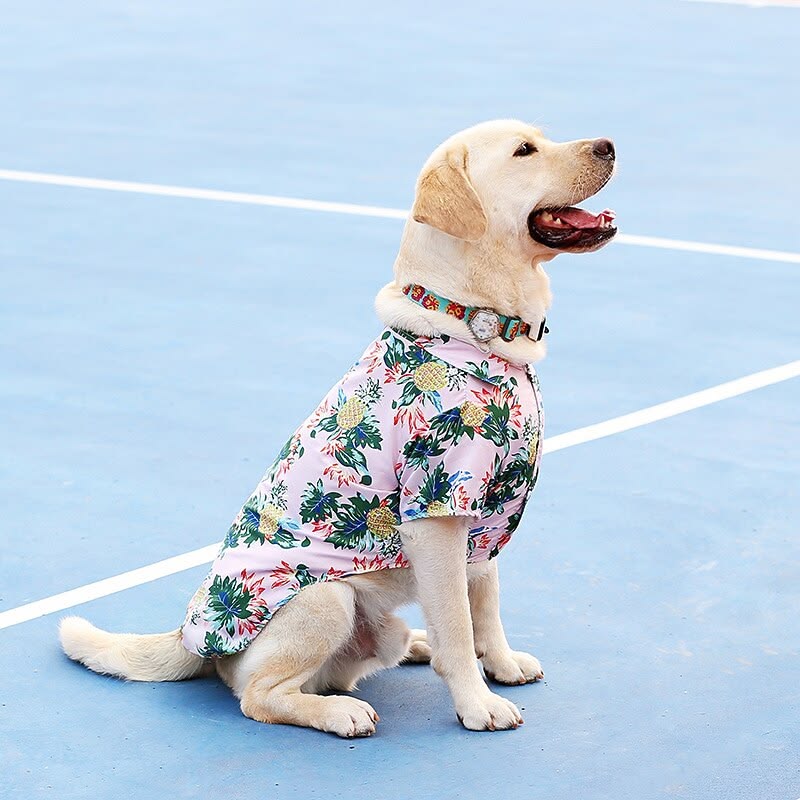 👕 Pet Clothing & Apparel