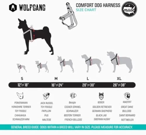 Wolfgang Heavy Duty Adjustable Dog Harness, Pull-Tested to Over 800 lbs for Walking & Training, Daydream Print, Medium