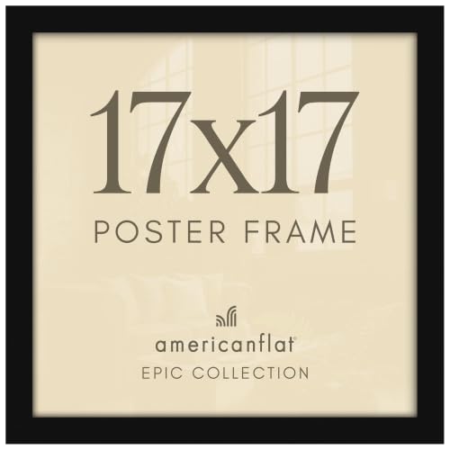 17x17 Picture Frame (17 Count)