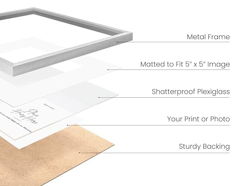 10x10 Silver Metal Picture Frames Matted to 5x5