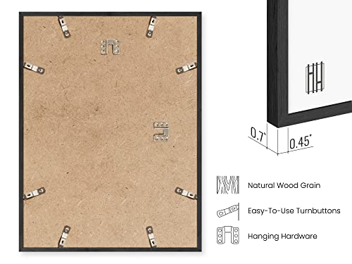Certificate Frame Set of 9