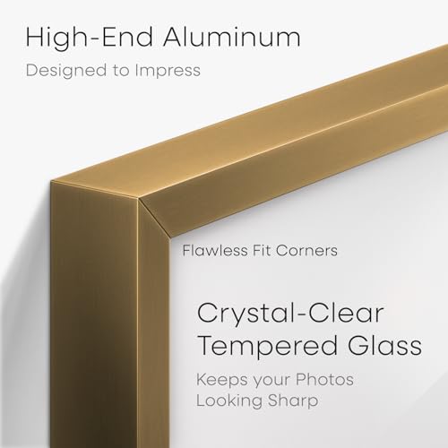 5x10 Bronze License Frame (2 Count)