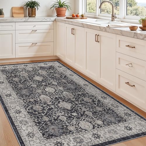 4x6 Living Room Area Rugs (24 Sq Ft)