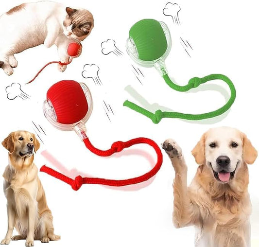 2 Packs New Electric Dog Ball Toy for Cat,360° Smart Automatic Interactive Rolling Dog Smart Pet Toy Ball,Gift for Kids