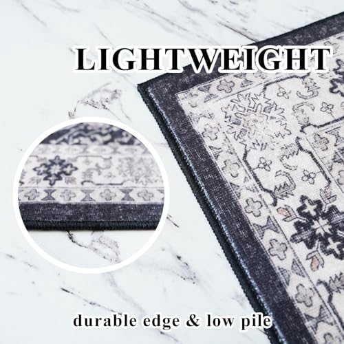 4x6 Living Room Area Rugs (24 Sq Ft)