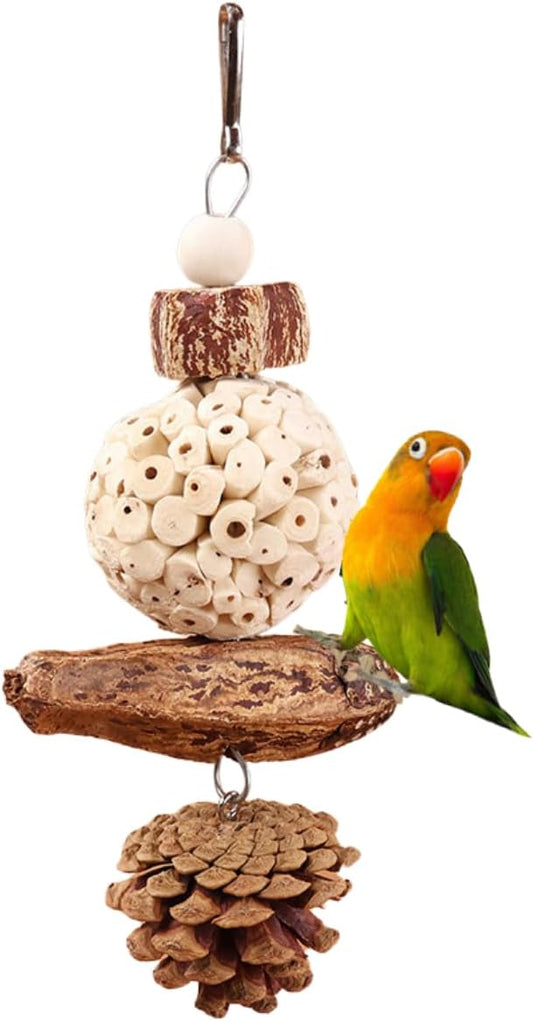 Bird Chew Toy for Pet Bird Parrot Sola Ball Natural Nuts Pinecone Chewing Toy for Small Parakeet Cockatiel Conures Finch Budgie (S)