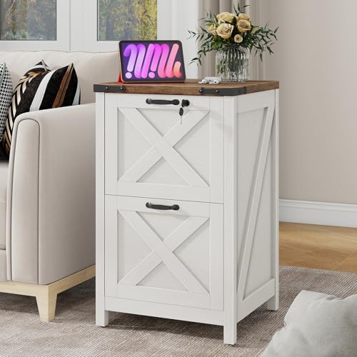 Vertical File Cabinet with 2 Drawers
