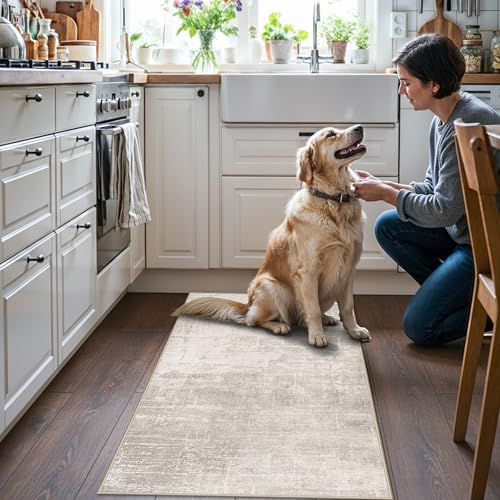 Washable 2x4 Entryway Area Rugs (8 Sq Ft)