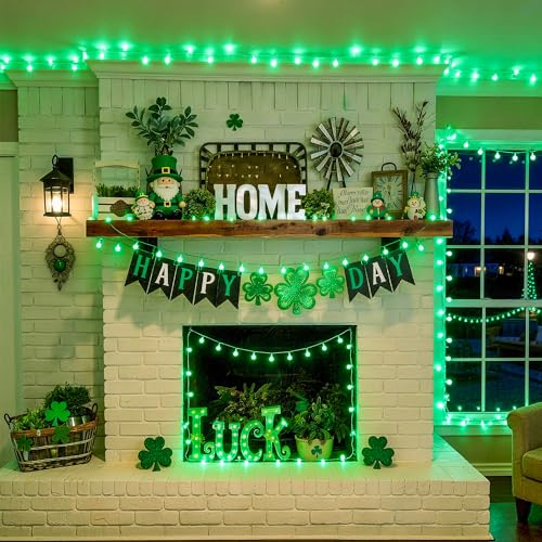 Connectable 100 LED Globe String Lights Indoor