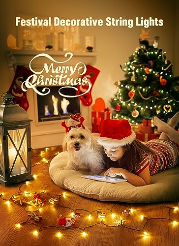 Warm White Battery 4 Pack Operated Christmas String Lights