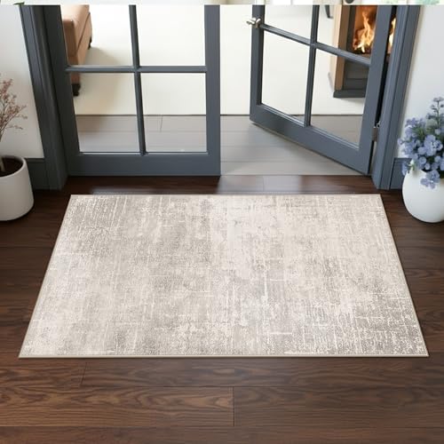 Washable 2x4 Entryway Area Rugs (8 Sq Ft)
