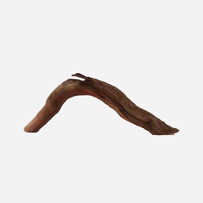 LYPHARD AQUARIUMS Natural Driftwood for Aquarium Decor, L27.56×W3.15×H9.45 Inches Large Drift Wood Decorations for Reptile Hide, Fish Tank, Optional Shapes