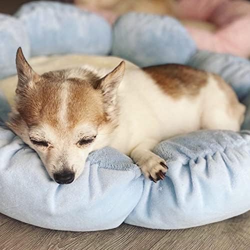 TONBO Soft Plush Small Cute and Cozy Nature Dog Cat Bed, Washer and Dryer Friendly (Blue Flower)