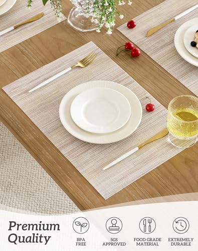 Lightsteel Beige with Yellow Placemats Set of 12 (12 Count)