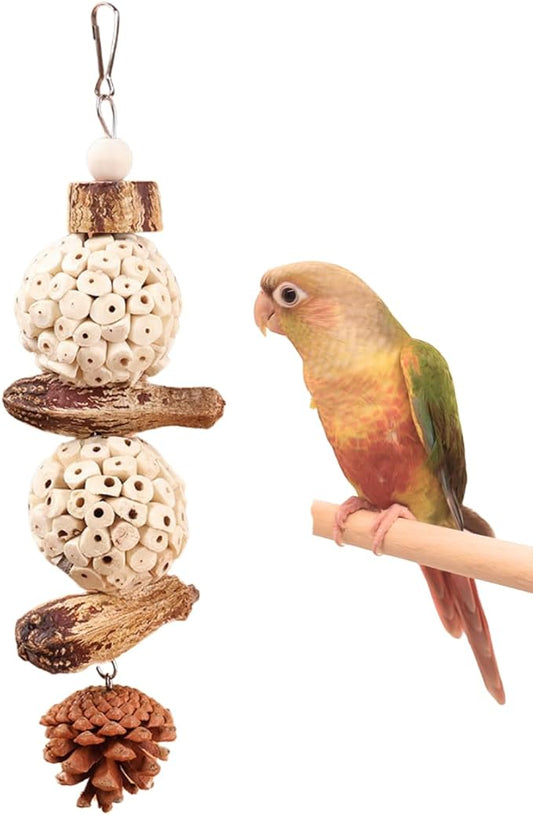 Bird Chew Toy for Pet Bird Parrot Sola Ball Natural Nuts Pinecone Chewing Toy for Small Parakeet Cockatiel Conures Finch Budgie (L)