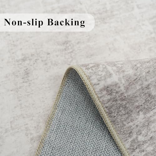 Washable 2x4 Entryway Area Rugs (8 Sq Ft)