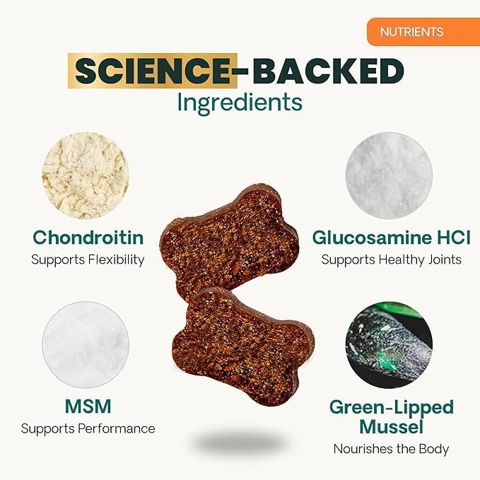 VetriScience GlycoFlex Ultimate Strength Healthy Hip & Joint Glucosamine Supplements for Dogs, with MSM, Chondroitin & Green-Lipped Mussel, Soft Chews, Bacon, 120 Count - New Look
