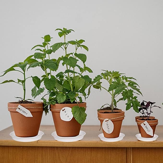 6 Pack of 8 inch Plant Saucer, Heavy Duty Plastic Plant Drip Trays 8" Round, Plant Dishes Saucer, Flower Plant Water Trays for Indoors, Plate for Planter 7-9" (8 inch, Creamy White)