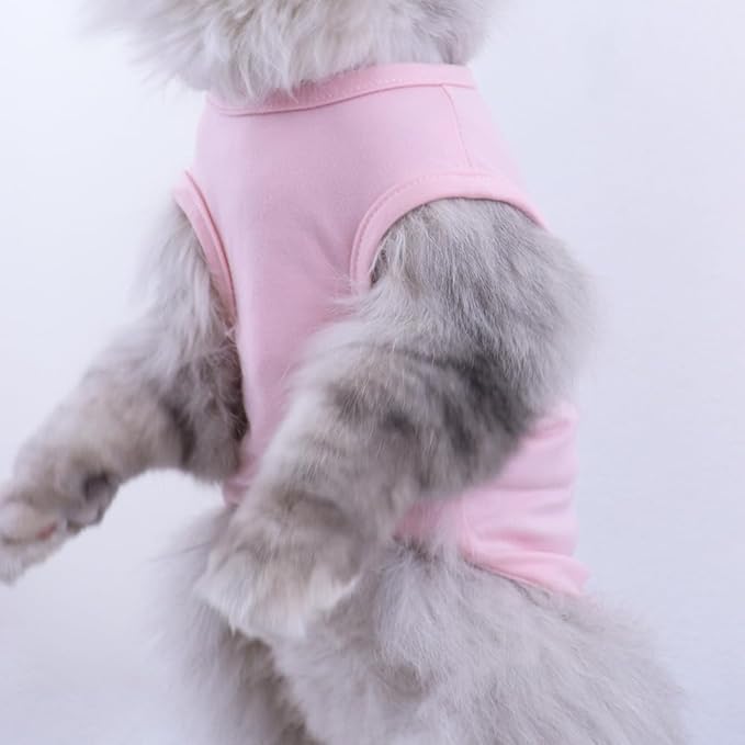 Custom Dog Birthday Shirt,Personalized Pet Apparel Print with Name Age Number,Pet Birthday Outfit,Lightweight Breathable Cotton Vest for Small Medium Large Dogs Cat (Grey, 4X-Large)