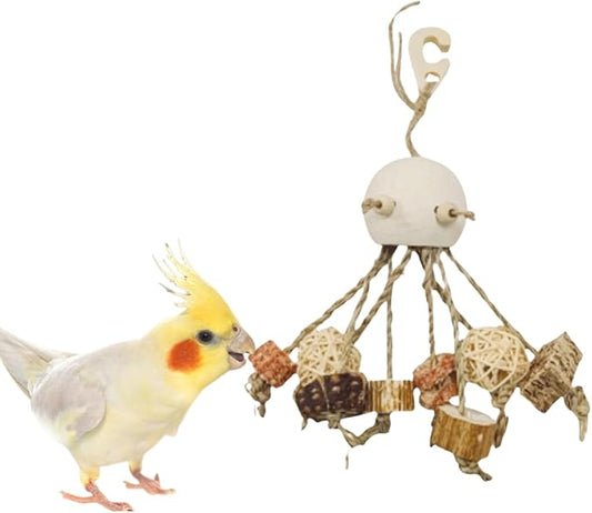 Bird Toys, Chewing for Parrot, Natural Nut Hanging for Parakeet,Lovebirds,Finch,Cockatiel, Conure, Quaker (A)
