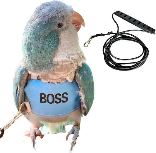 Bird Flight Harness Vest, Parrot Flight Suit with Leash, Bird Flying Clothes with Rope and Handle for Outdoor Activities (XL)