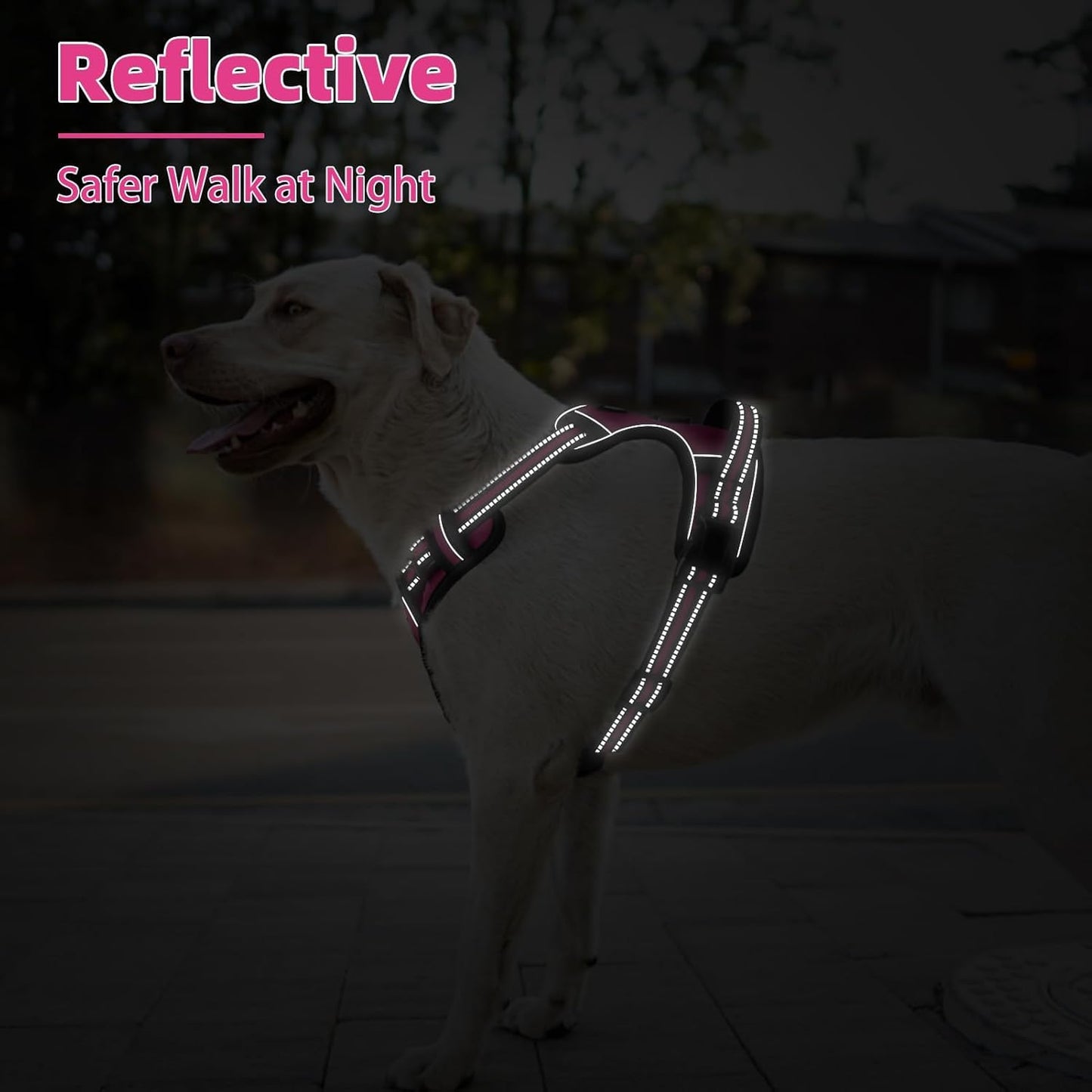 PUPTECK No Pull Dog Harness Small Sized, Adjustable Reflective Dog Harness with Handle Easy Control, Comfortable Soft Padded Pet Vest Harness for Small Dogs, Fuschia S