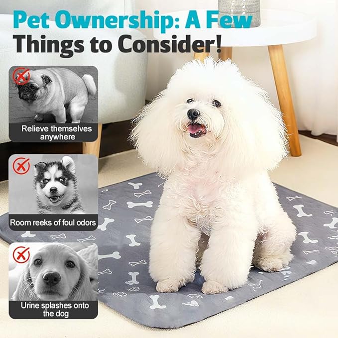 Puppy Pads for Dogs, 2026 New Washable Puppy Pads with Pheromones, Pee Pads for Dogs & Cats, Durable Leak-Proof & Anti-Slip Pet Training Pads for Home & Travel, Reusable (White, 15.7" x 23.6")