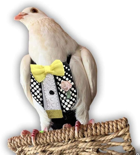 Bev's Bird Boutique Regular Flyper Adjustable Bird Diaper | Reusable, Washable Cloth | Comfort Fit for Parrot, Cockatiels, & Other Small Birds | Fashionable Avian Accessories, Retro Tux, Size 7.5