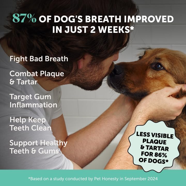Dog Breath Freshener Dental Powder for Teeth Cleaning Plaque Off, Dental Care for Large Dogs, Tartar Remover for Teeth with Natural Herbal Blend + Postbiotics (Mint - 60 Servings)