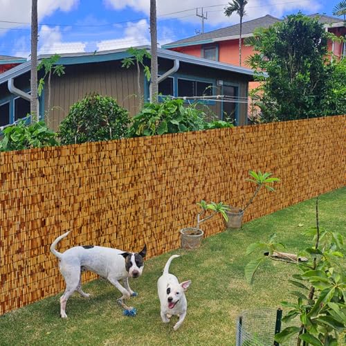 Reed Fencing Rolls (96 Sq Ft)