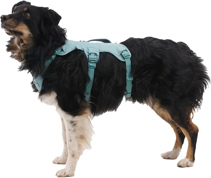 Ruffwear, Web Master, Multi-Use Support Dog Harness, Hiking and Trail Running, Service and Working, Everyday Wear, River Rock Green, Medium