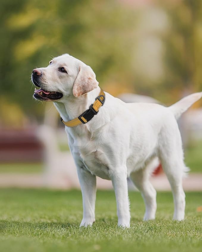 Joytale Reflective Dog Collar, Adjustable Nylon Pet Collar with Quick-Release Buckle for Medium Dogs, Khaki, M
